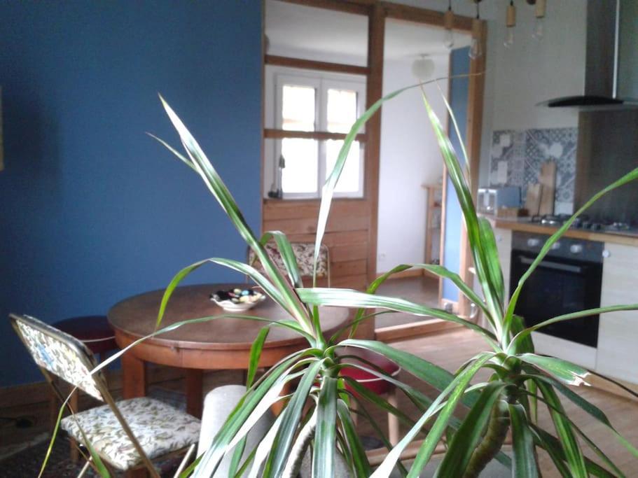 Logement Independant 콜마 외부 사진